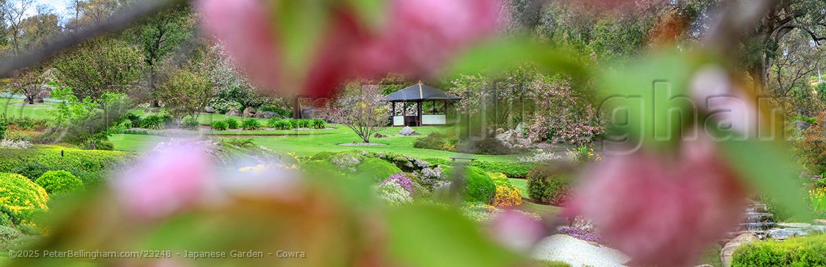 Peter Bellingham Photography Japanese Garden - Cowra